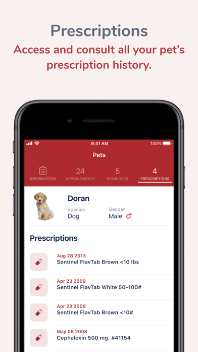 Mukilteo Veterinary Hospital Screenshot