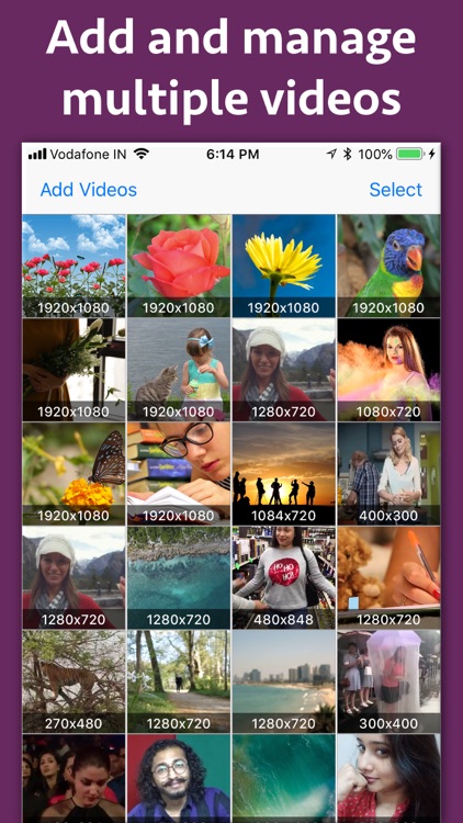 Video Cropper Premium