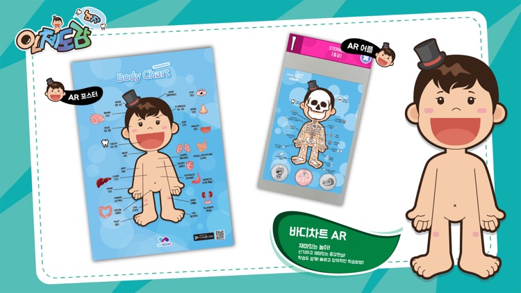 인체도감 - 남자 (D)