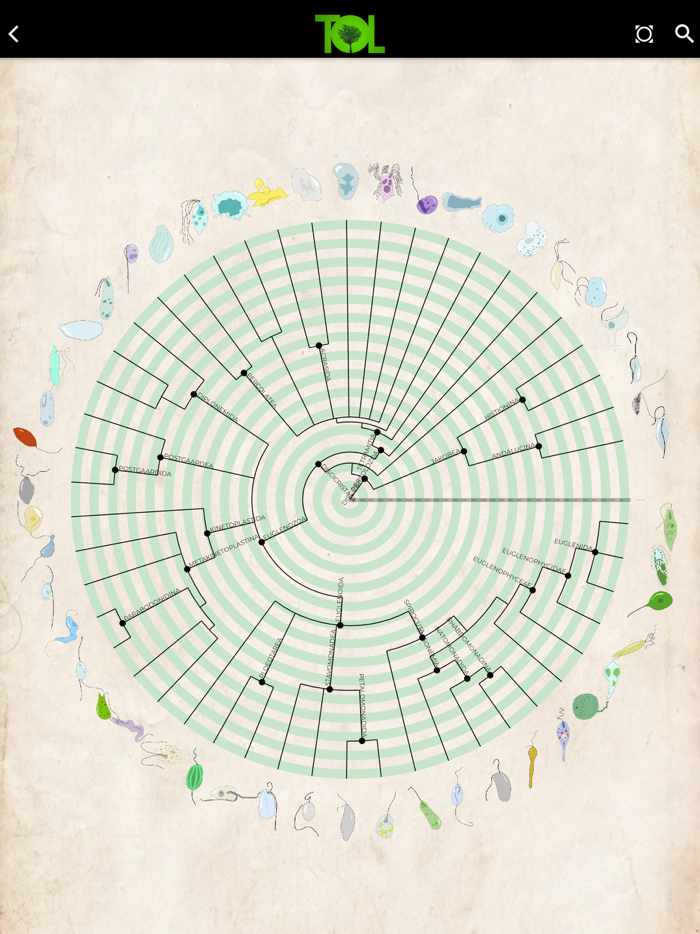 Tree of Life - ToL App