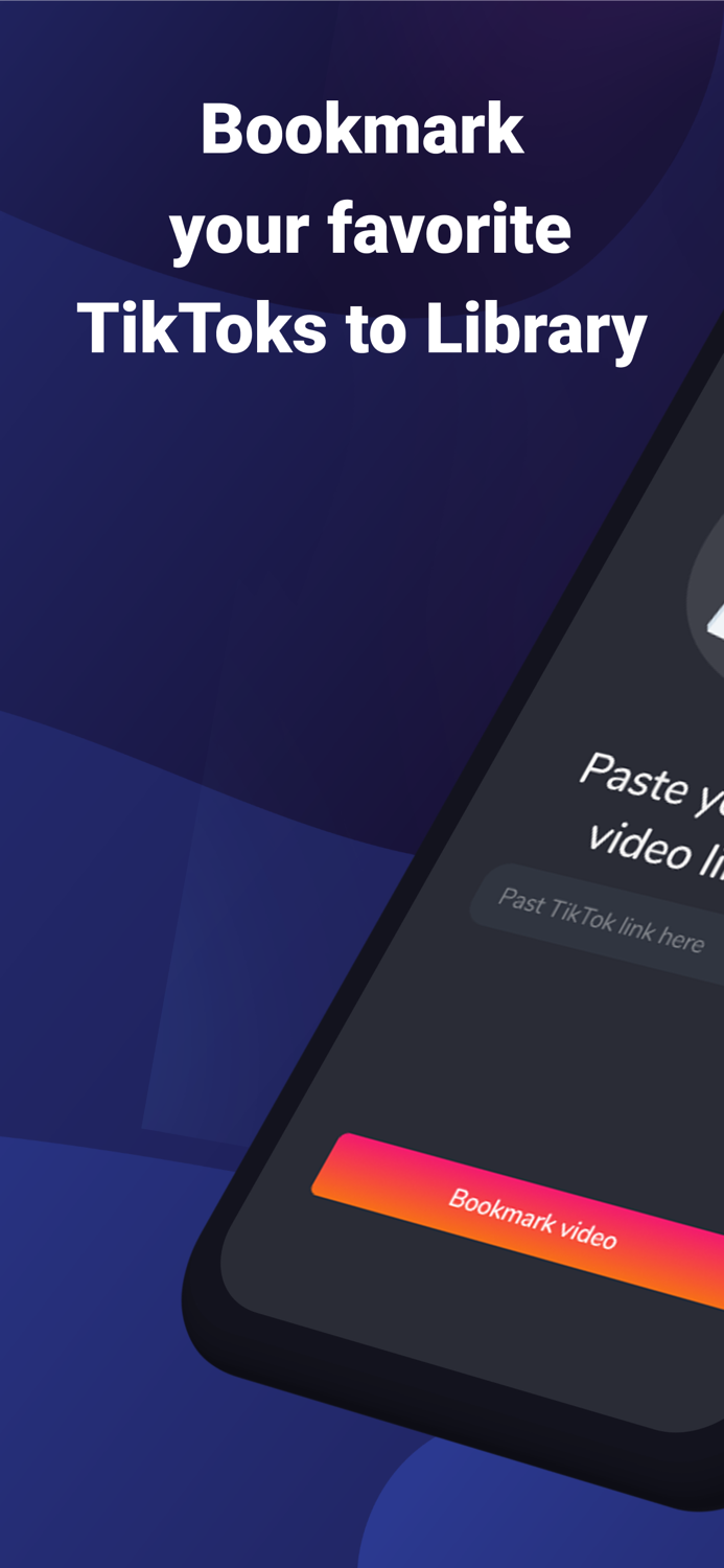 SaveTiks Video Manager