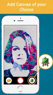 art canvas pic to mesh camera iphone screenshot 3