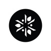 Life Family icon