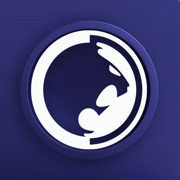 Rolles Gracie Virtual Academy