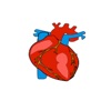 Healthy Heart 2021 icon