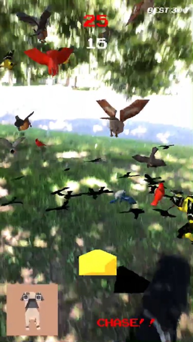 OMG! BIRDS! screenshot 3