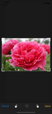 iplantのスクリーンショット（1/3）