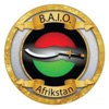 BAIO Global Pipeline icon