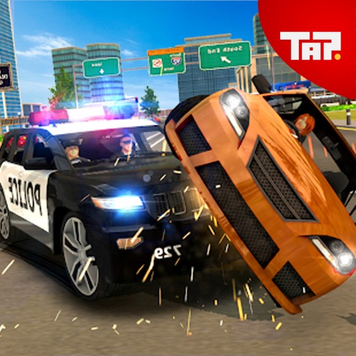 Police Car - Criminal Chase icon