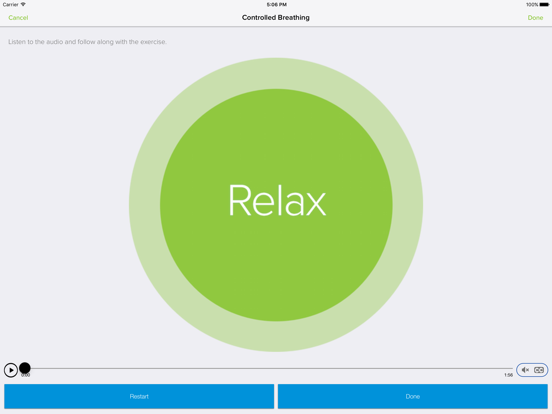 RailRes iPad screenshot