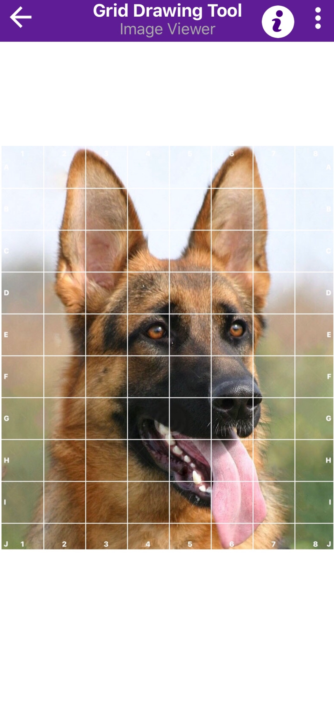 Grid Drawing Tool for Artists