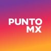 Punto MX icon