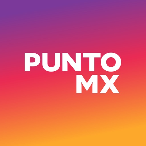 Punto MX