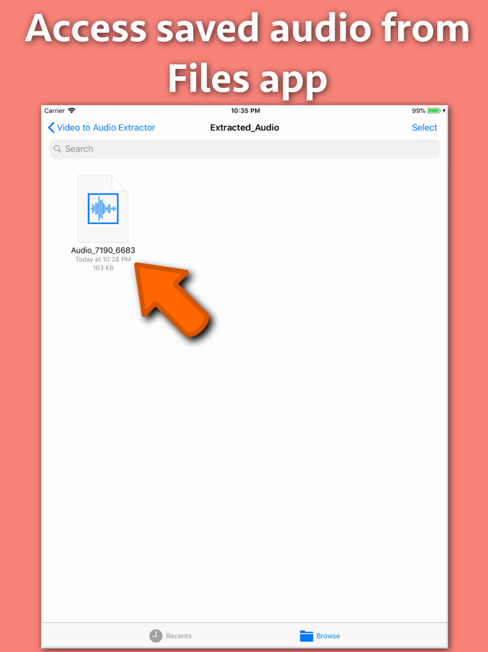 Video to Audio Extractor
