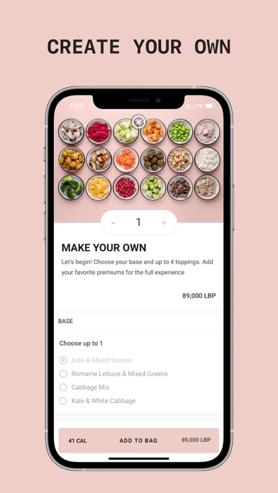 SALATA Screenshot