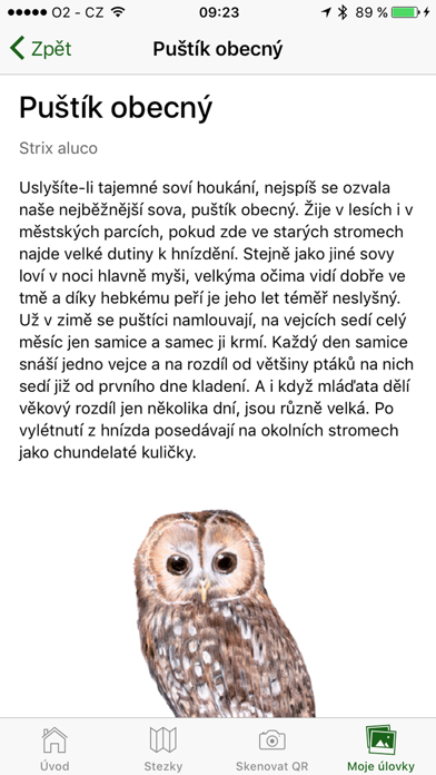 Lesní svět Screenshot