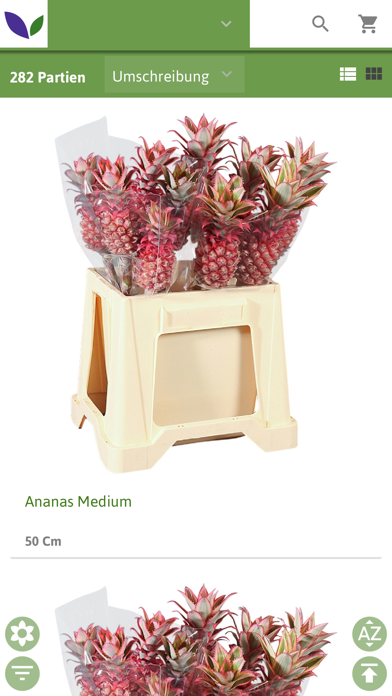 Screenshot #3 pour Blumengrossmarkt Wurselen