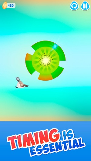 Pigeon Bird - Eating Game(圖2)-速報App