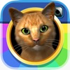 InstaKitty3D - iPhoneアプリ
