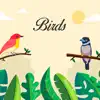 Bird Stickers! Positive Reviews, comments