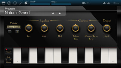 How to cancel & delete KORG Module from iphone & ipad 4