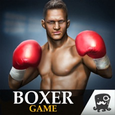 Activities of Boxer Games 2017