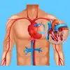 Cardiovascular System Quizzes contact information