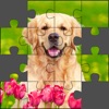 Icon Puzzle World - Jigsaw Puzzles