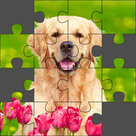Puzzle World - Jigsaw Puzzles Cheats