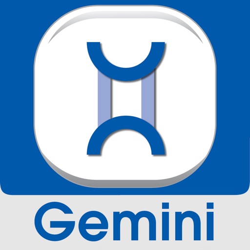GeminiCommercialSecurityApp