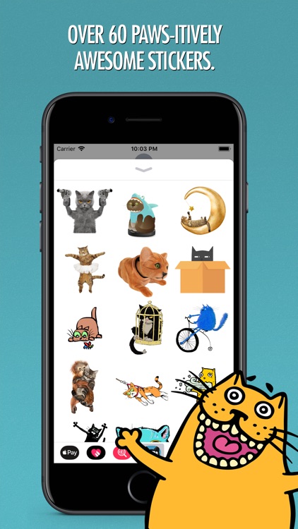 Cats Animated Text Stickers