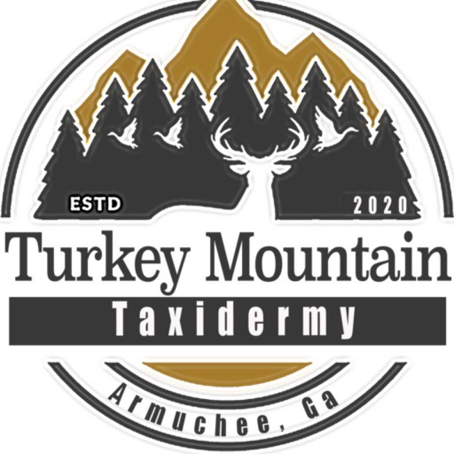 Turkey Mountain Taxidermy
