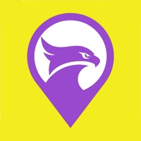 مندوب شاهين