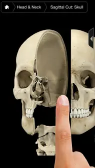 Skeleton System Pro III-iPhone iphone resimleri 1