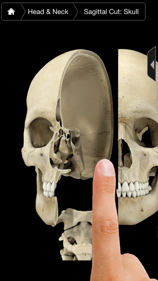 Skeleton System Pro III-iPhone - 3.8.2 - (iOS)