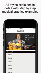 Learn Flamenco Guitar screenshot