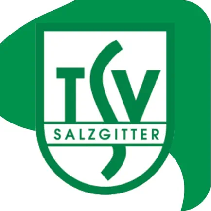 TSV Salzgitter e.V Читы