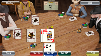 Cowboy Cardsharks Pokerのおすすめ画像3