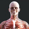 Human Anatomy 4D-Mixed Reality icon
