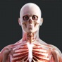 Human Anatomy 4D-Mixed Reality app download