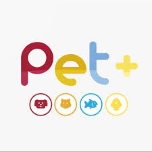 Pet + Pet Shop