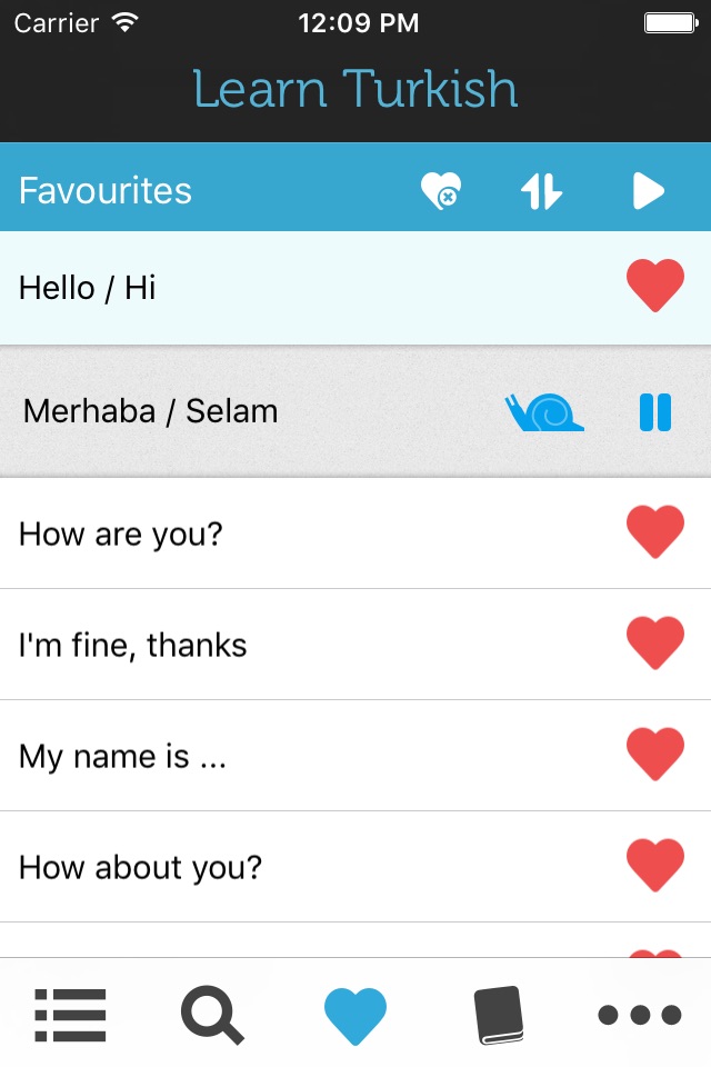 Learn Turkish - Phrasebook screenshot 4