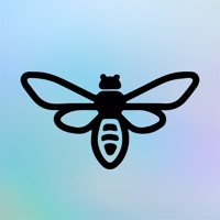 Firefly Music Festival messages.notwork