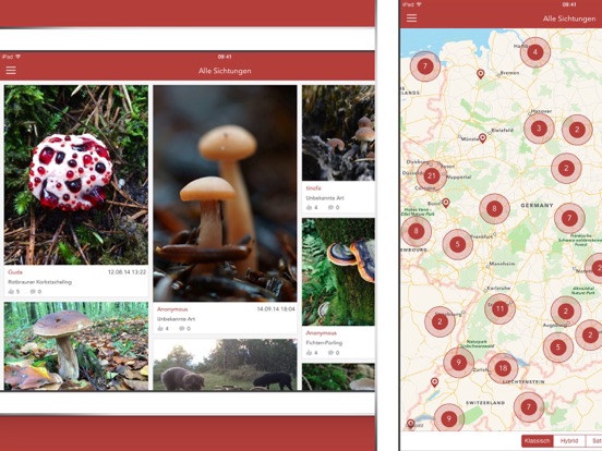 Screenshot #5 for Pilze sammeln und bestimmen