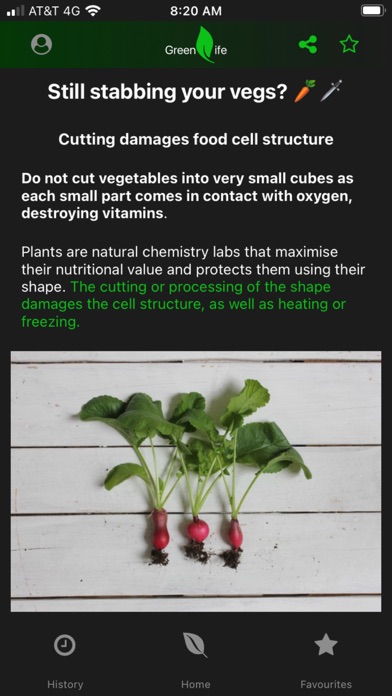 Green Lifestyle Screenshot