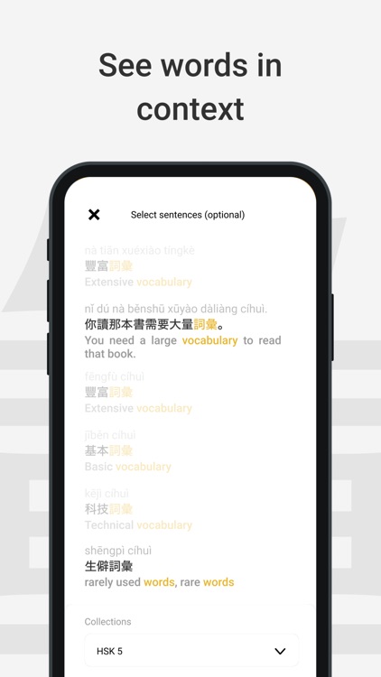 Chinese Dictionary by Serica screenshot-3