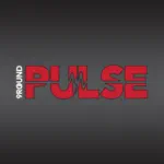 9Round Pulse App Contact