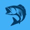 Fishermator is a map of fishing spots from real fishermen around the world