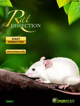 Game screenshot Rat Dissection mod apk