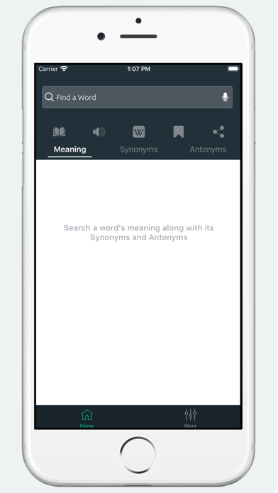 Thesaurus & Dictionary Screenshot